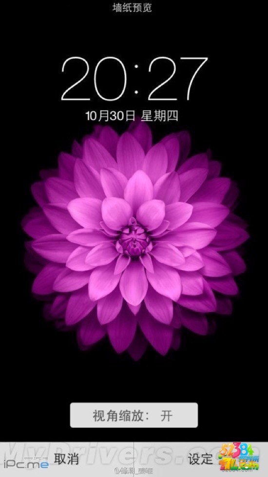 壁纸