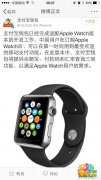 支付宝第一时间适配apple watch惹怒WP用户：怒骂＂